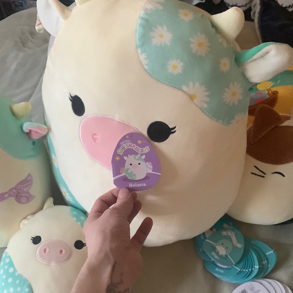 Amazing squishmallow cow bundle , belana the cow bundle , all NWT AND HTF - Picture 5 of 7